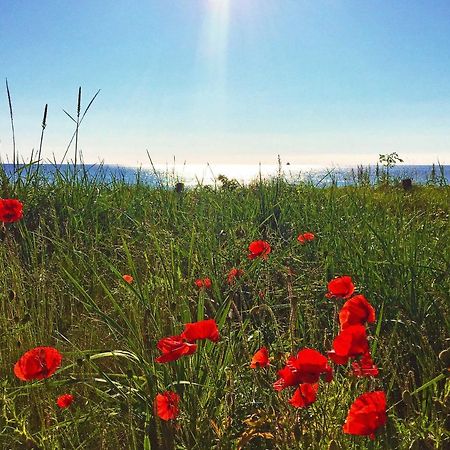 Strandresort Prora - Wg 114 Mit Meerblick บินซ์ ภายนอก รูปภาพ