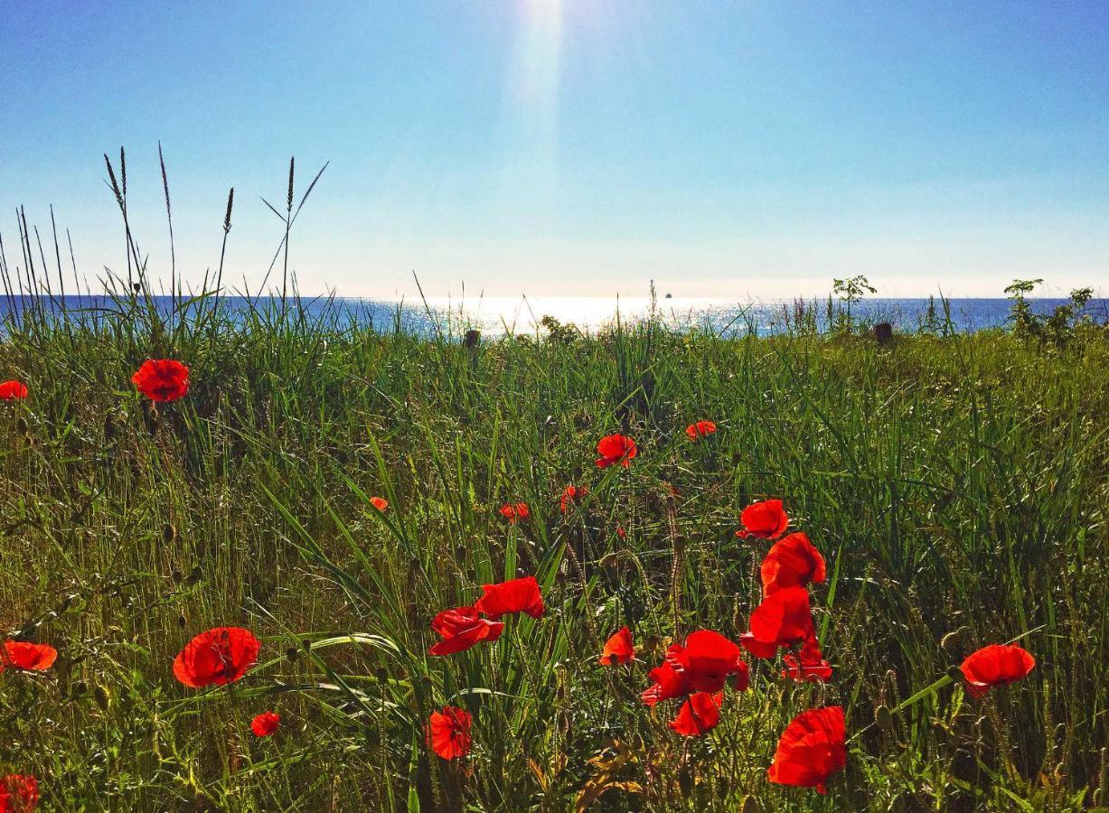Strandresort Prora - Wg 114 Mit Meerblick บินซ์ ภายนอก รูปภาพ